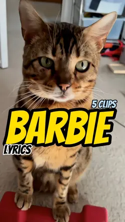 Barbie music video