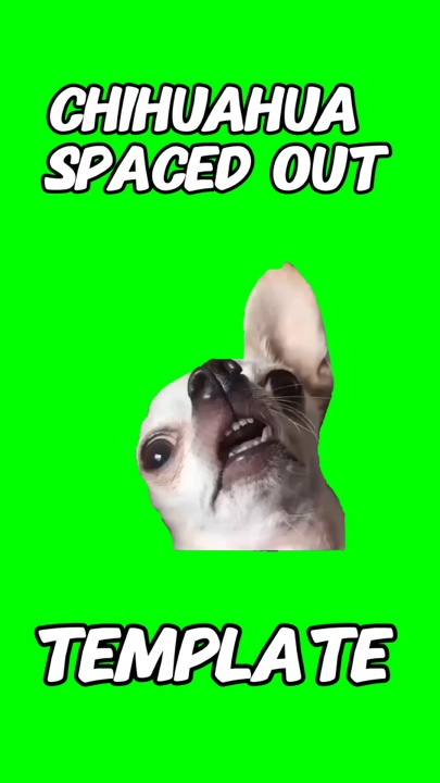 Perro Espaciado