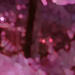 Sourberry juke audio