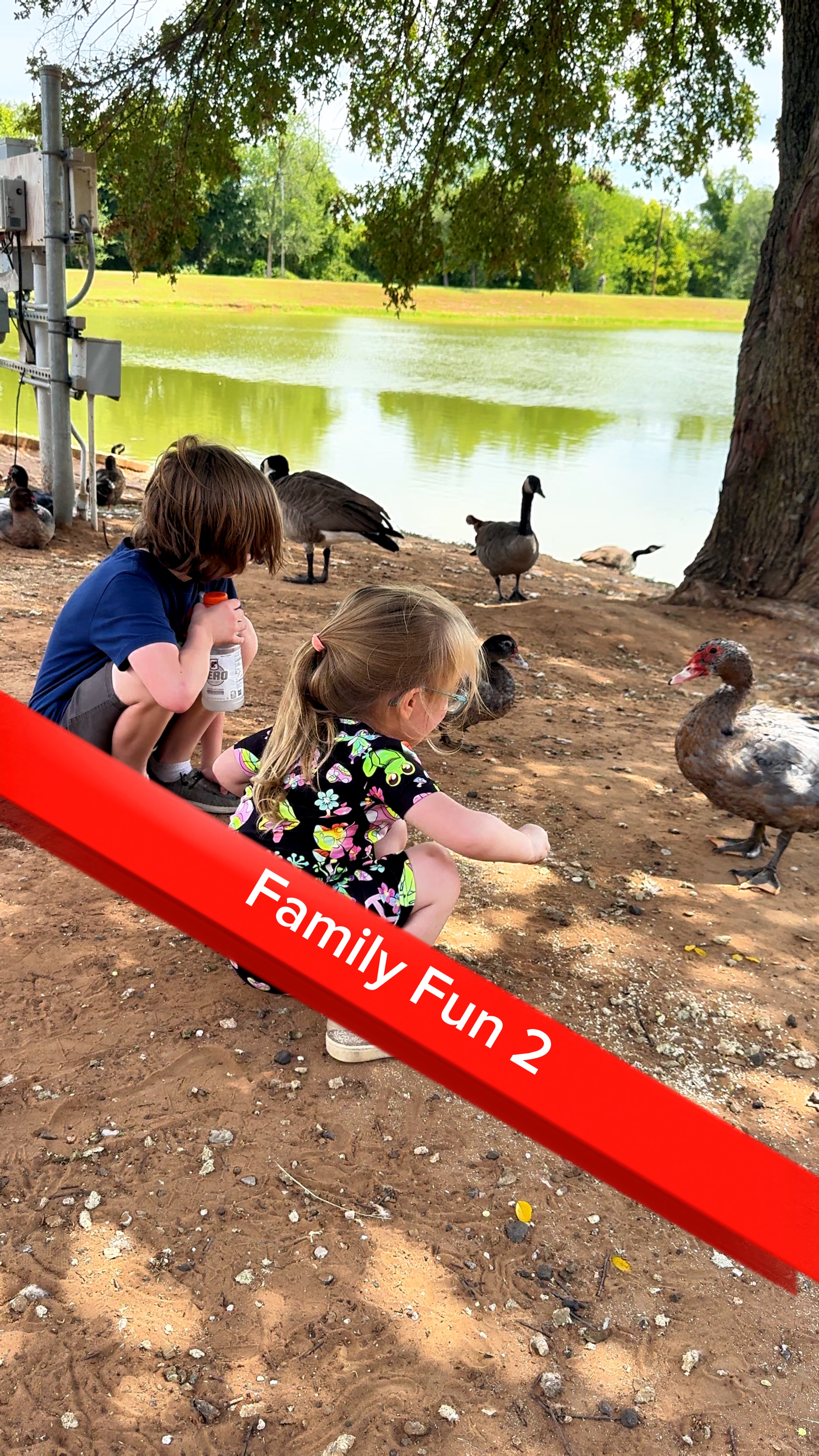 Family Fun 2