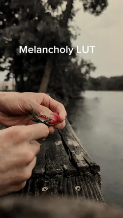 2 Moody LUTs