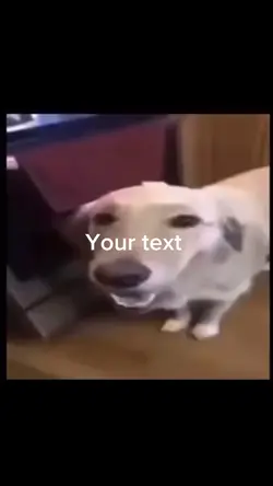 Butta dog