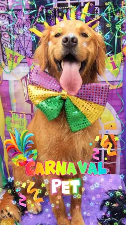 Carnaval Pet