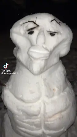 sigma snow