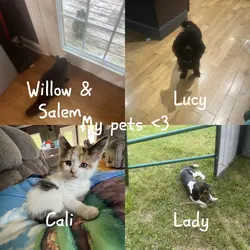 My pets! <3