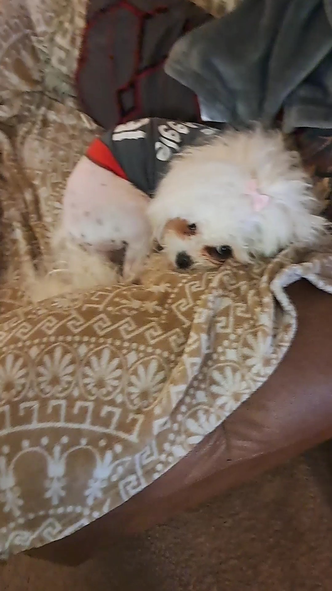 resting 