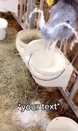 Epic Fails