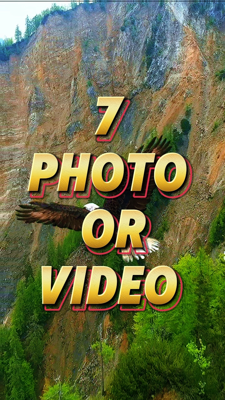 7 Photo Video