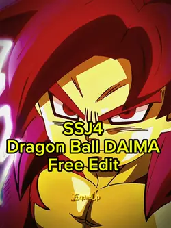 SSJ4 DB DAIMA
