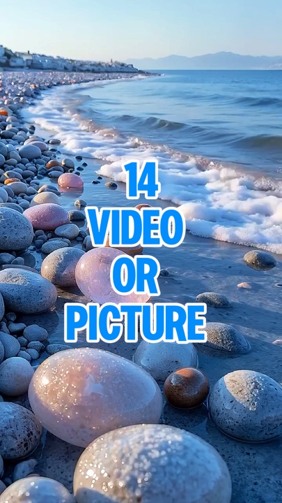 14 video new templat