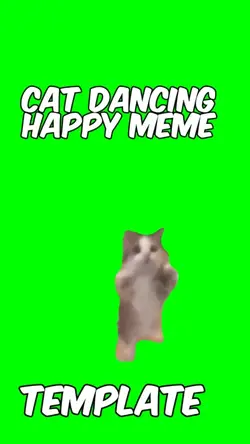 Cat dancing
