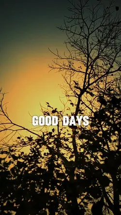 Good & Bad Days 