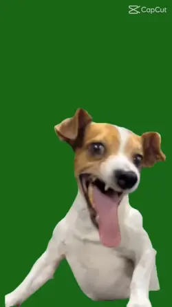 W.L