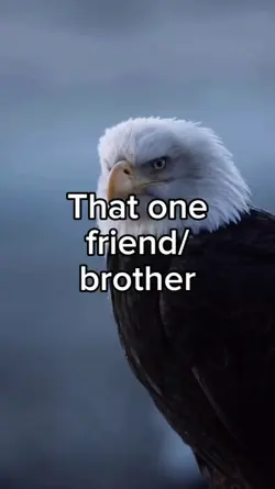 best friend brother