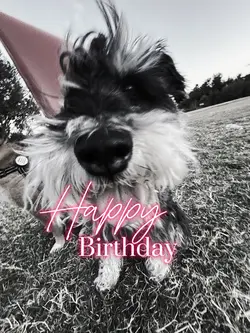 Happy Birthday!