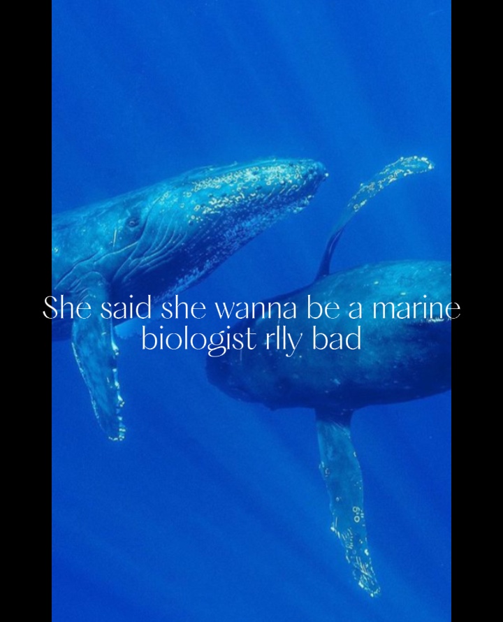 Biología marina>>>>