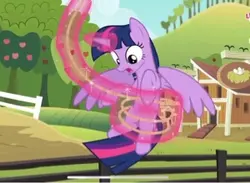 Princess Twilight