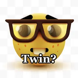 Nerd twin
