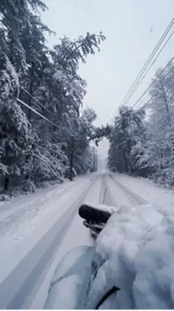 Nieve