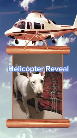 Helicopter Reveal