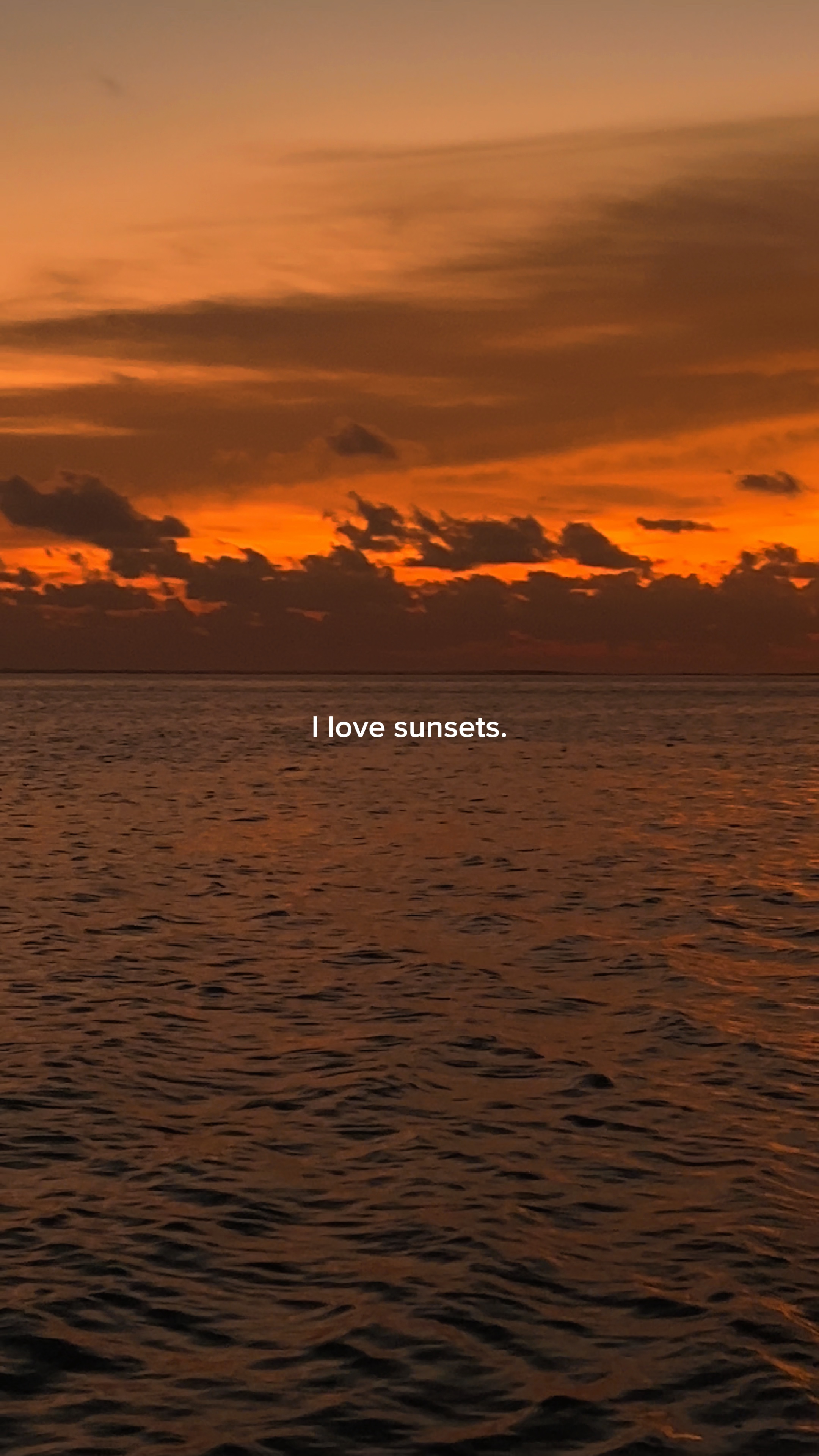 I love sunsets 🧡🌅