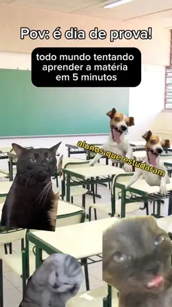 assim msm kkk
