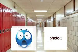 fortnite battle roya