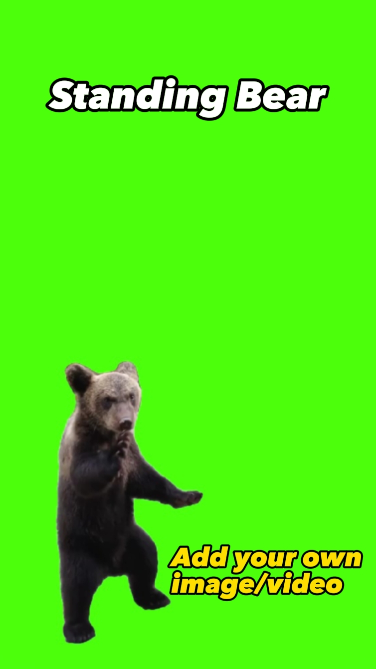 Urso em Pé 
