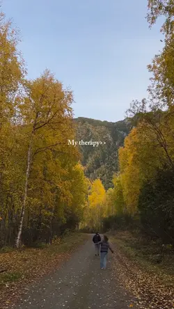 My Therapy