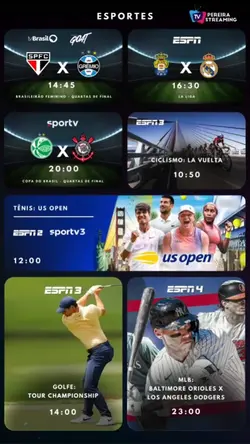 Programação diária 