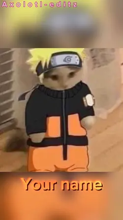Naruto cat edi