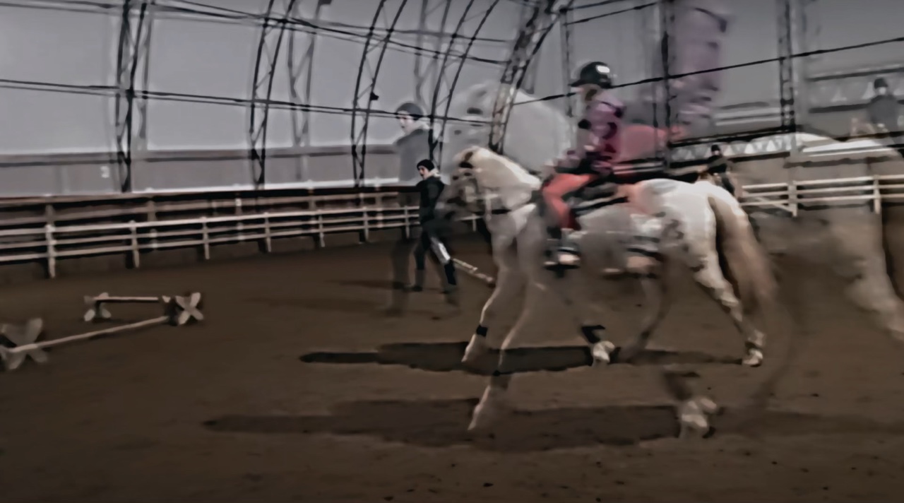Me and horses