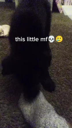 NOooO my sock!
