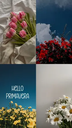 Hello Primavera 