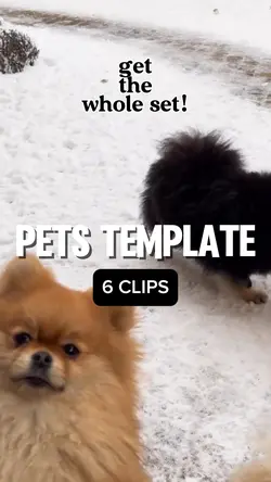 I'm just gonna get 1