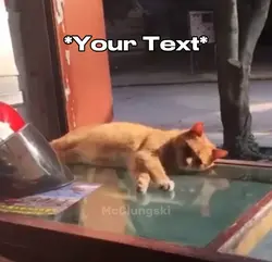 Cat Falling Meme
