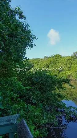 bem-vindo agosto
