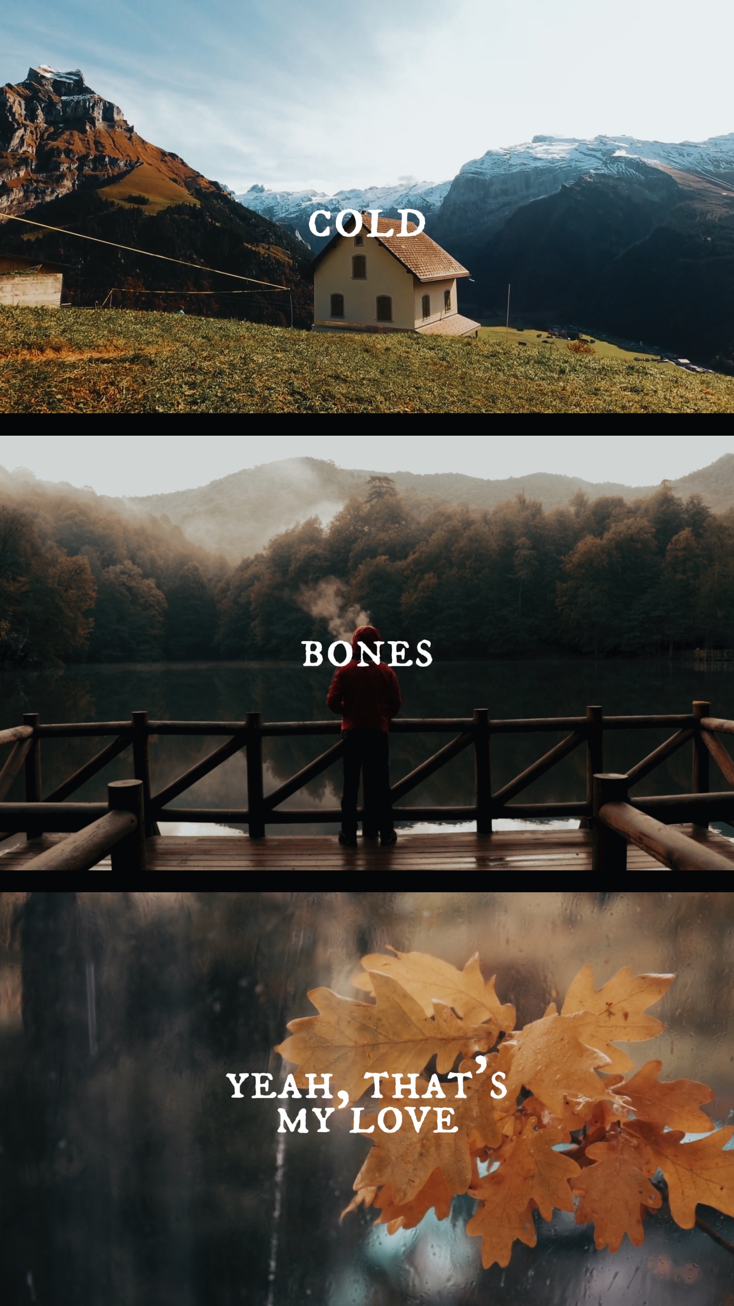 aesthetic collage