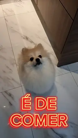 é de comer cachorro