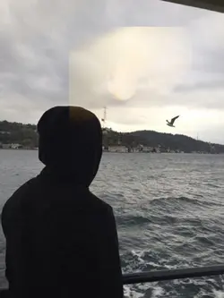 Trending template😎