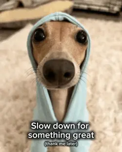 Great Slow It Down