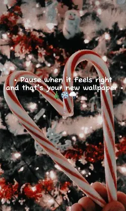 your new wallpaper ❄️