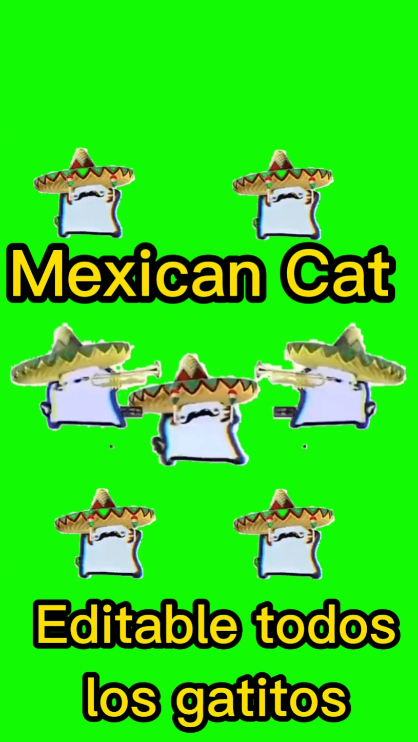 Mexican cat editable