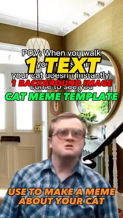 CAT MEME TEMPLATE
