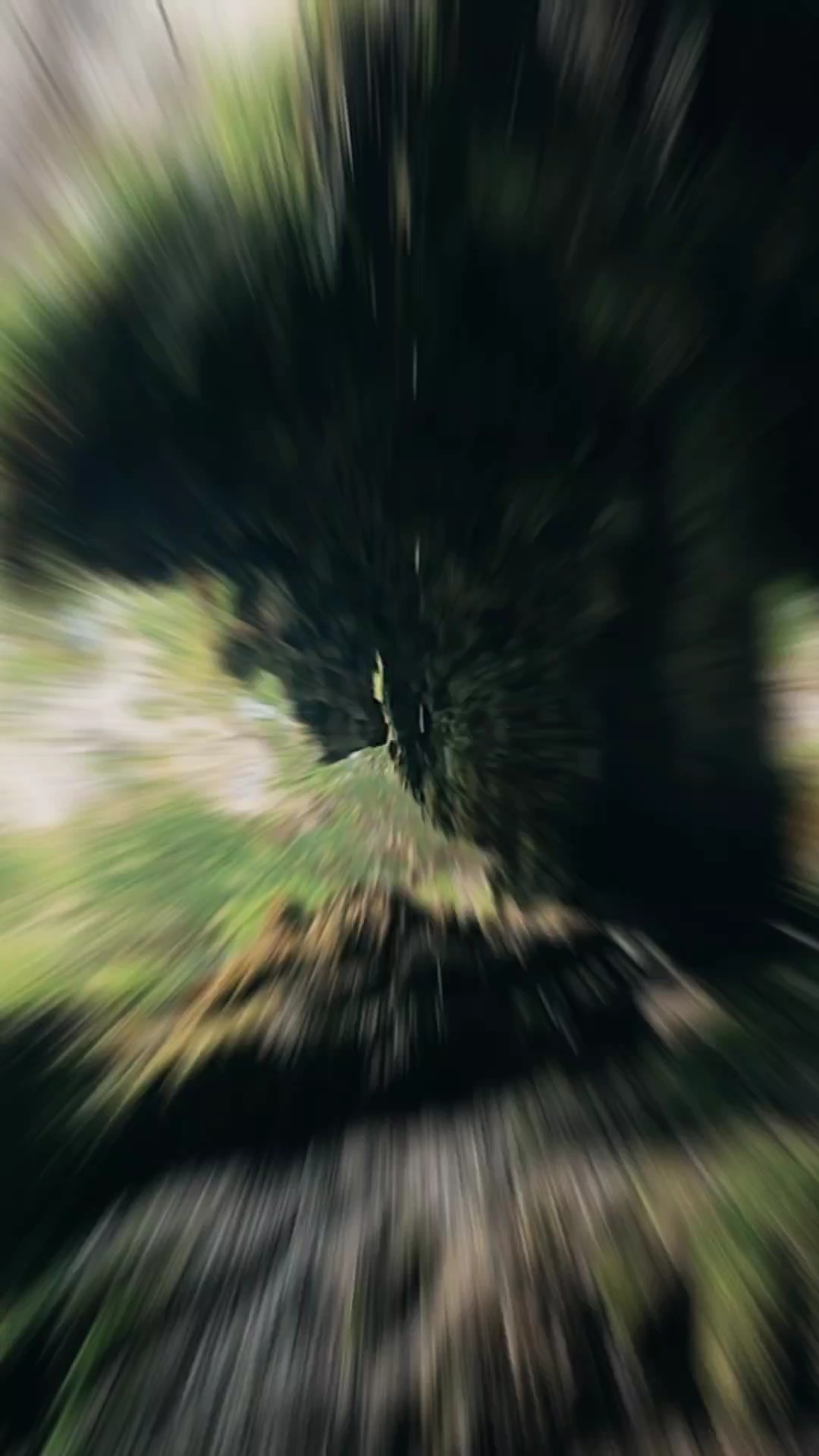 Aventuras en cascada
