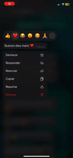 mensajes que enamora
