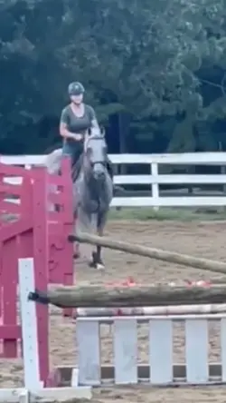 He jumps so cute
