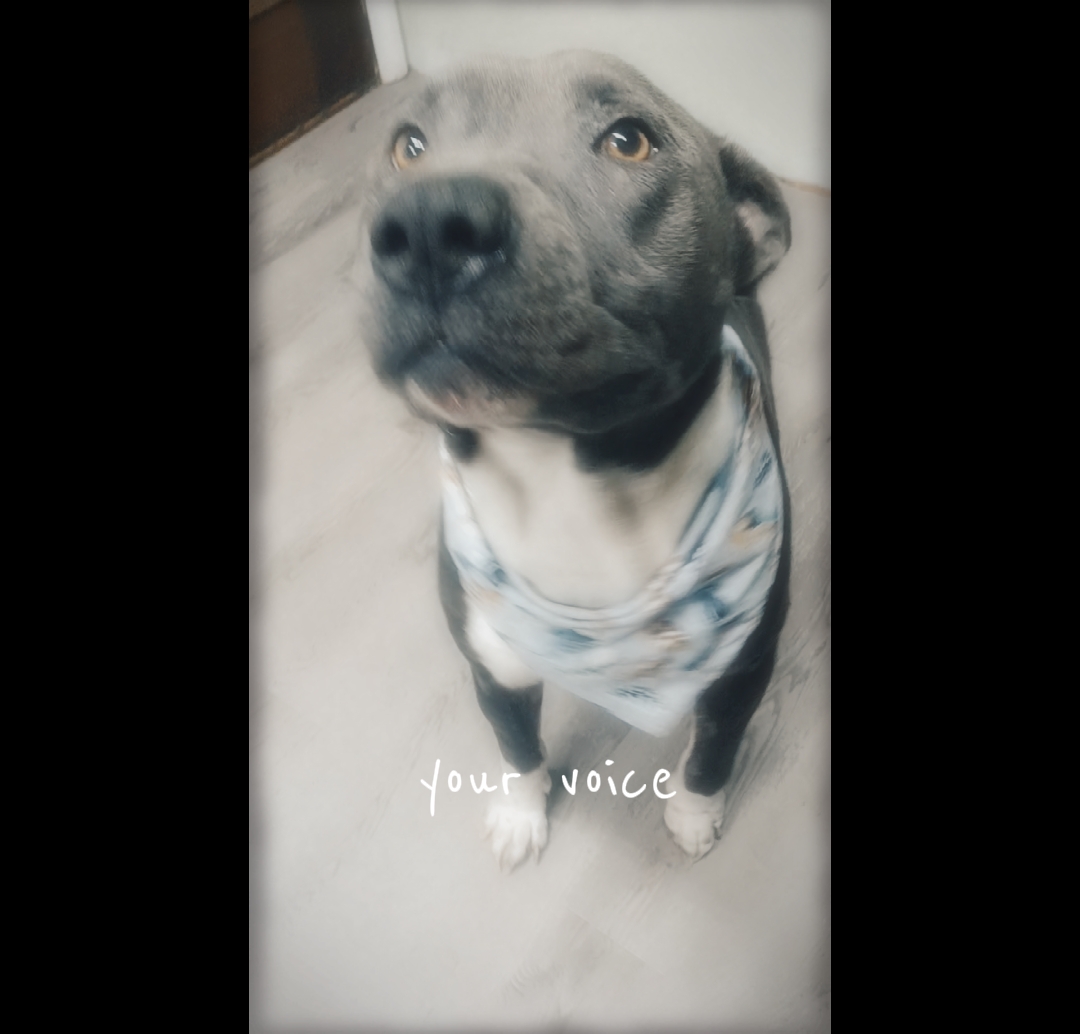 myheart