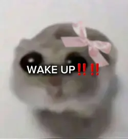 DECEMBER 1ST '24