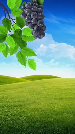 aniversário kkkkkkk